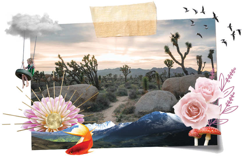 Travel Guide: Joshua Tree